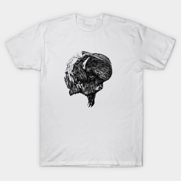 Bison head T-Shirt by Guardi